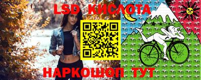 мяу мяу кристалл Кинель