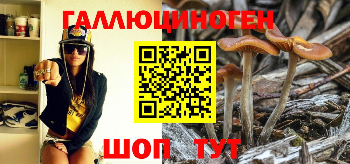 Галлюциногенные грибы Psilocybe  Галлюциногенные грибы мицелий  Вход с VPN  Кстово 
