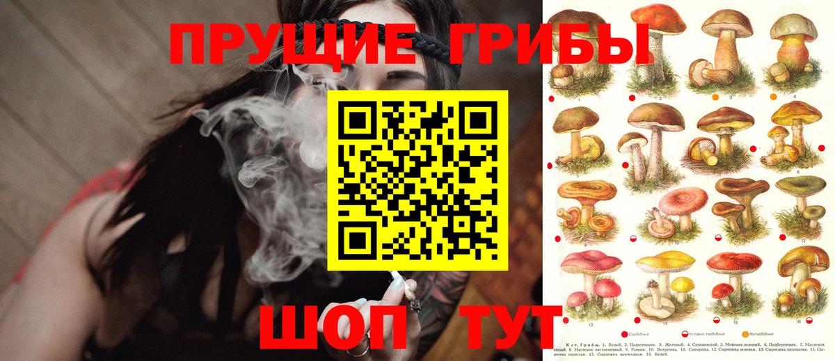 Галлюциногенные грибы GOLDEN TEACHER Кстово